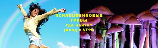 экстази Бородино